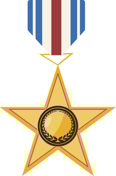 The medal is on a star with a ribbon vector