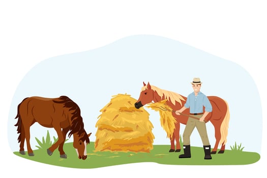 The man takes care of his beloved horses, gives them hay. Two horses eat hay at the farm. Country pet. Agricultural work. Isolated character on a white background. illustration in flat style vector