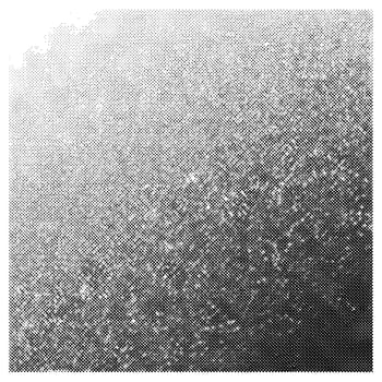 Monochrome Halftone Pattern Grunge Illustration vector