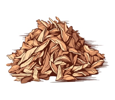 foliage leaves nature autumn vector
