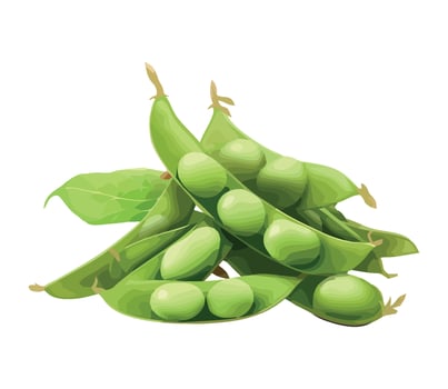 Peas with leaves and green pods on a white background vector