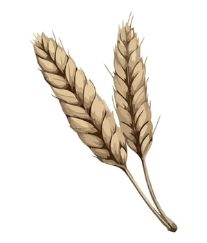 Golden wheat spikes symbolize healthy autumn harvest icon isolated vector