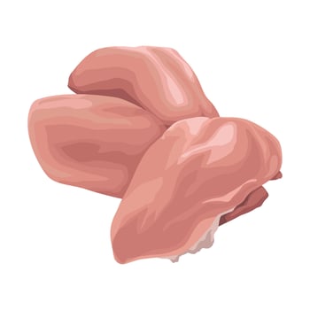 Raw chicken breast meat, raw meat, raw meat illustration vector