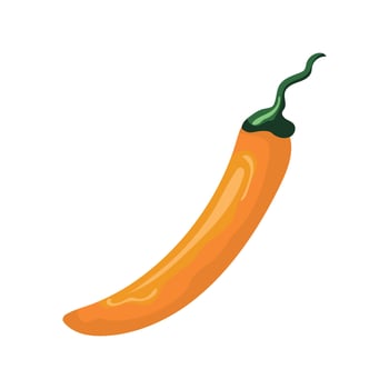 A hot pepper on a white background vector