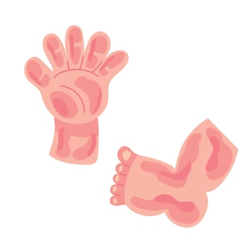 Two hands and feet of a baby vector