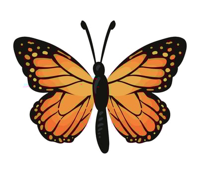 A butterfly with orange wings on a white background vector