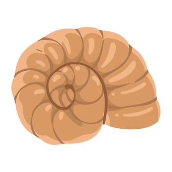 sea life snail mollusk isolated illustration vector