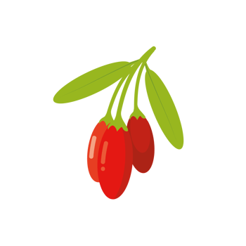 Goji berries design, chinese wolfberries icon png