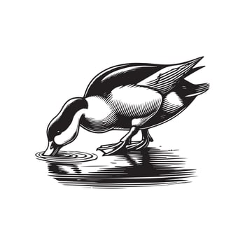 Duck Clipart, Duck Bird silhouette, A Bill Dip Duck illustration in black and white vector