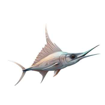 sailfish fish on a transparent background png
