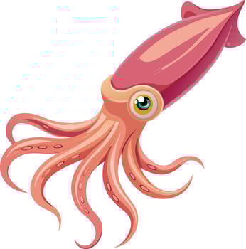 Cartoon illustration of a pink squid swimming underwater vector