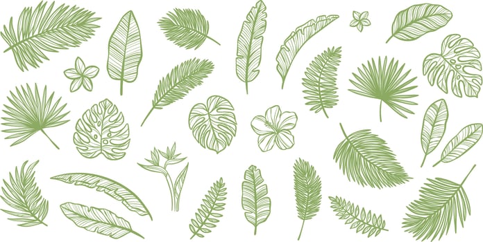 Tropical leaves, line art leaf set, exotic foliage doodle illustration elements, isolated clip art vector