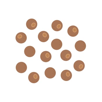 Allspice. illustration cartoon flat icon isolated on white background. Aromatic herb spice for food and drink . vector