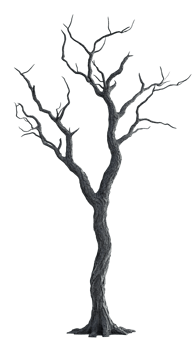 A tree with no leaves on it png