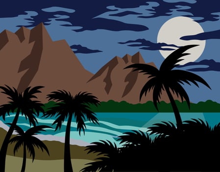 Tropical relaxation. Moonlight on the sea. Palm trees on the island. Night on the island. vector