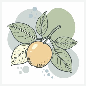 Vibrant Camu-Camu Illustration vector