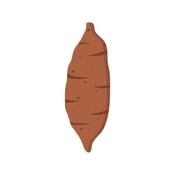 sweet potato flat design illustration isolated on white background. Natural organic cooking ingredient for restaurant, food recipe or healthy eating concept. healthy vegan natural food vector