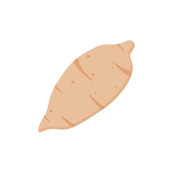 sweet potato flat style illustration isolated. Funny cartoon vegetable elements. Family fruit and veggie. vector