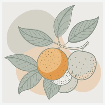 Exquisite Longan Illustration , Detailed and Vibrant Design vector