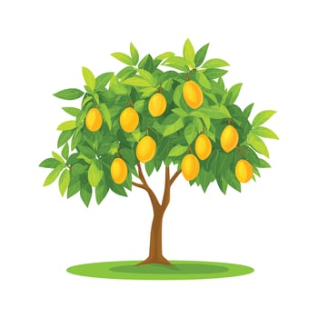Mango tree illustration, Yellow mango tree isolated,trees and mangoes, one of the most expensive fruits illustration vector
