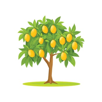 Mango Tree Illustration - Yellow Mango Tree with Ripe Mangoes, Isolated on White Background vector