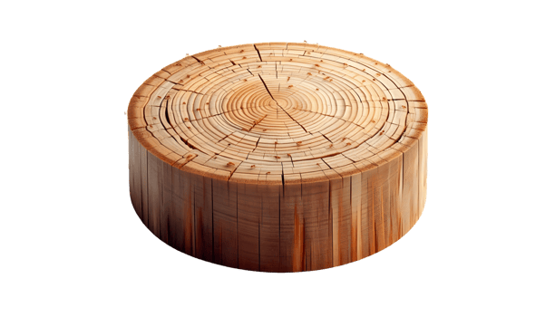 Cutout tree stump isolated png
