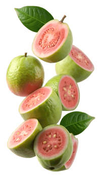 Tropical guava with vibrant green leaves, whole and sliced, isolated transparent png