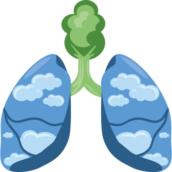 clean air healthy lungs png