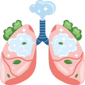 clean air lungs cartoon png