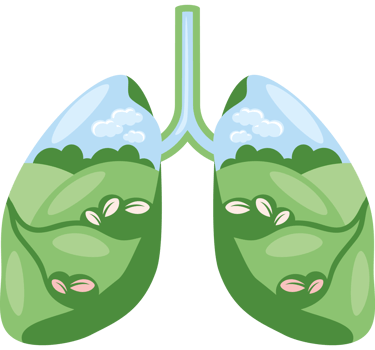 clean air lungs ecological png