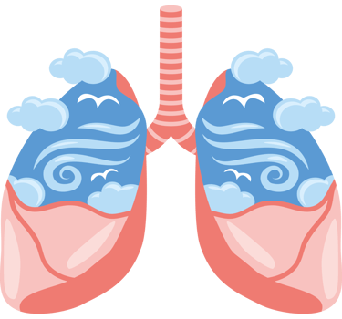 breathe fresh air lungs png