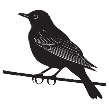 Eurasian blackbird silhouette, Blackbird Clipart, common blackbird Perched on a wire illustration in black and white vector