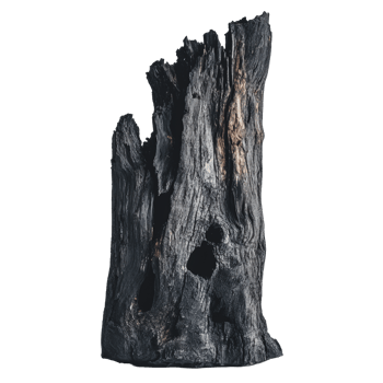 Unique black wood stump displayed against a plain background, showcasing its rough texture and natural hollow formations png