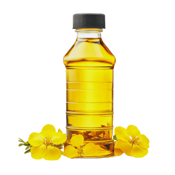 Clear bottle of yellow oil with yellow flowers displayed on a white background png