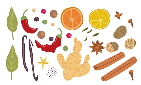 Big set of popular culinary spices. Ginger, chili pepper, nutmeg, anise and clove . For cosmetics store and spa natural health care. Can be used as logo design, price tag and label. vector