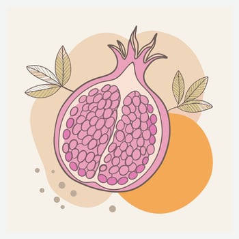 Vibrant Pomegranate Illustration, Detailed Fruit Design vector