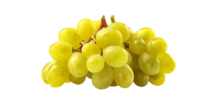 Juicy Green Muscat Grapes png
