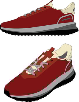 sneakers shoes illustraion. Cartoon Flat design, sneakers shoe hand draw illustration. Sneakers color full. Fashion Sneakers in flat style vector