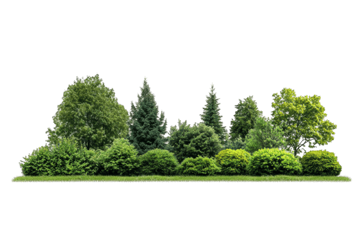Green Landscape with Lush Trees and Shrubs png