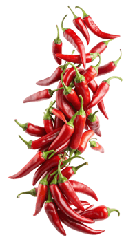 Bunch of red hot chili peppers, transparent png