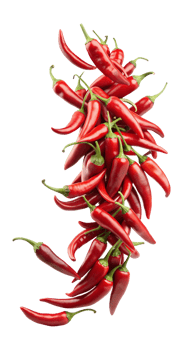Long red chili peppers with stems isolated, transparent png