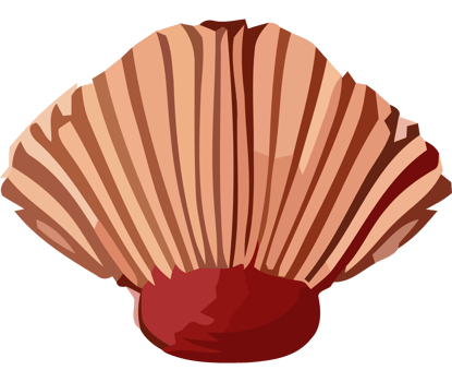 A shell with a red center on a black background png