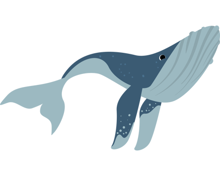 Humpback sealife design png