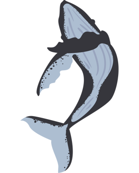 humpback sealife cetacean isolated illustration png