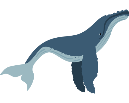 Humpback sealife design isolated illustration png