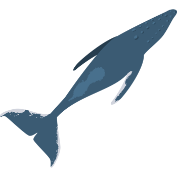 A blue whale swimming in the ocean png
