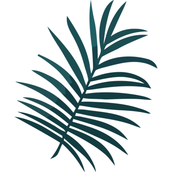 Palm leaf clip art png