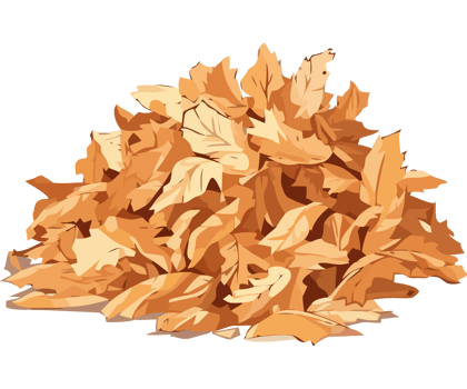 Autumn leaves decorate the forest floor beautifully icon isolated png