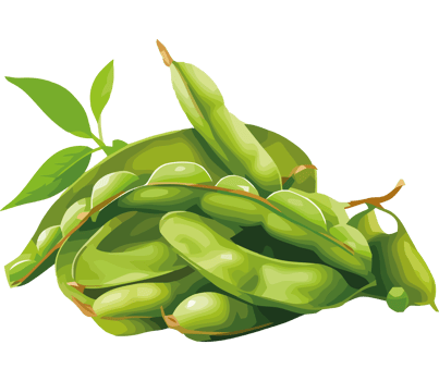 Fresh green peas, a healthy snack icon isolated png