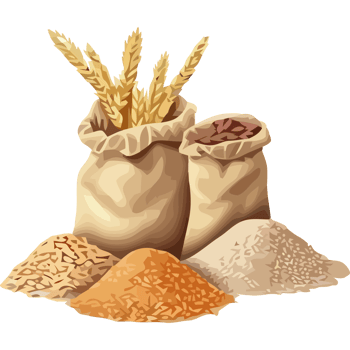 Grain and wheat in bags on a black background png